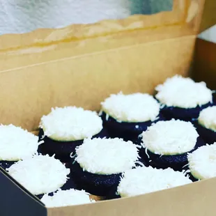 Chocolate haupia (coconut) cupcakes