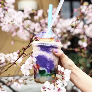 Halo Halo