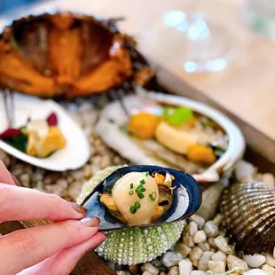 Crowded beach: oyster, uni, limpets, scallop, abalone, mussles, blood clam | IG: happyfoodieoc