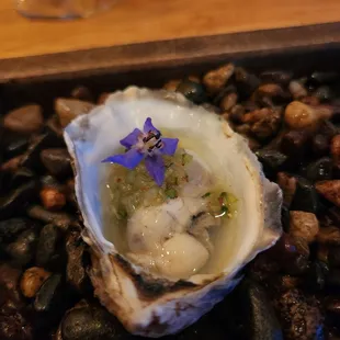 Oyster