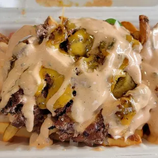 1/2 order of fires with patty