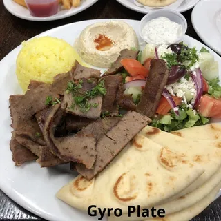 Gyro Plate