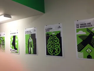 The Green Zone