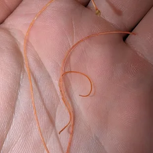 Three? Or just one cut up idk