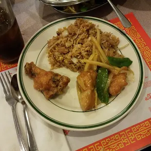 Hong Shu Chicken, Honey Wings, and Pork Fried Rice