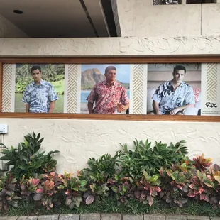 Rix Island Wear - Printed Vinyl Advertisement @ Hilton Hawaiian Village