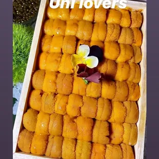 Japanese Uni from Hokkaido