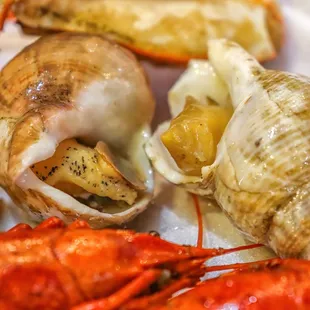 oysters, shellfish, oysters and mussels, mussels, food