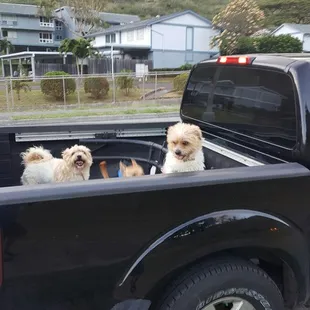 These kids are really excited to get out to the park