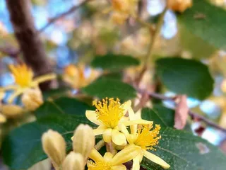 Koko Head District Park