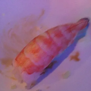 Shrimp