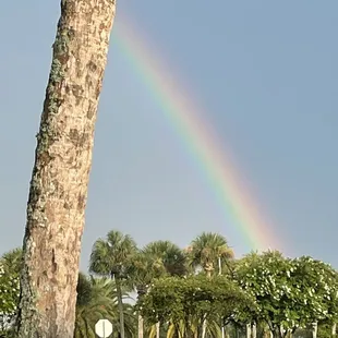 a rainbow in the sky