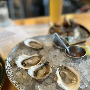 oysters on ice