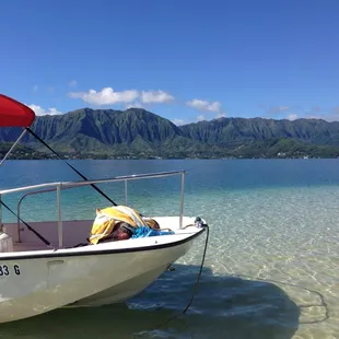 Captain Kyle&apos;s Boston Whaler rested at the sandbar