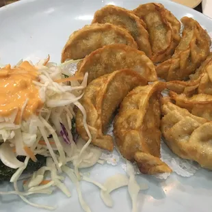 Fried Dumplings
