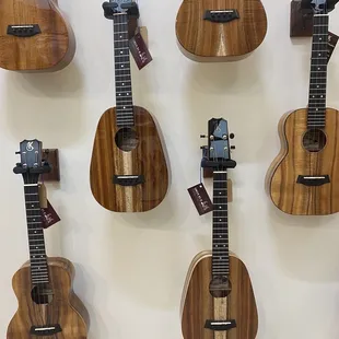Their walls are covered with Ukeleles!  All shapes, sizes and prices.  Great selection and knowledgeable and helpful employees.