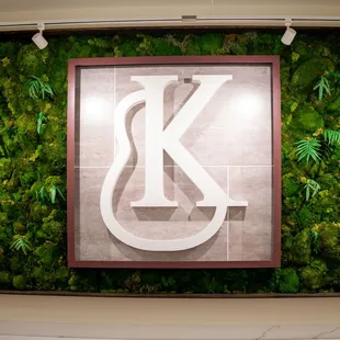 An exquisite preserved moss wall display.