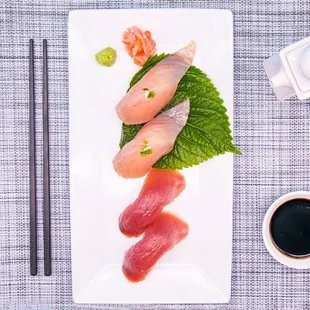 Albacore and Tuna Nigiri