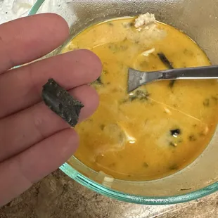 Plastic in No.1 Tonkotsu