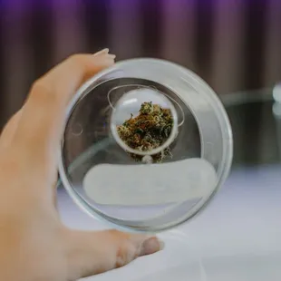 Beautiful THCa Flower available!