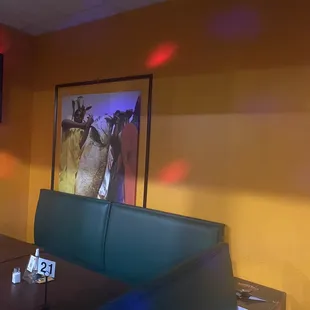 a picture of a giraffe