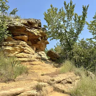 Do you see the face?