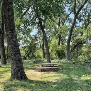 Picnic bench