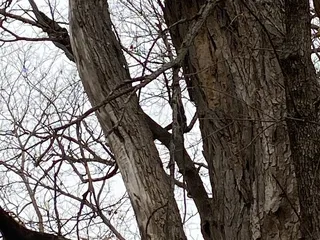 Marty Bender Nature Area