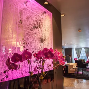 Modern and charming touches