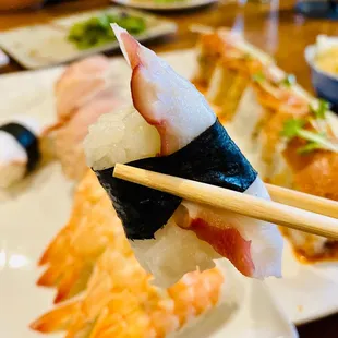 Octopus Sushi