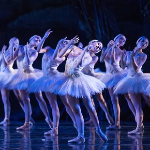 Dancer Amanda DeVenuta in Swan Lake, 15-16 Season