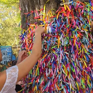 Make a wish and tie a ribbon