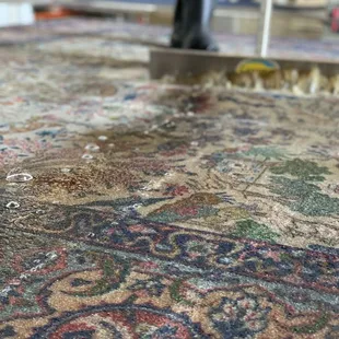 Rugs are squeegeed until the water coming out is 100% clear.