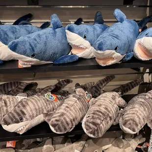 Aquarium gift shop