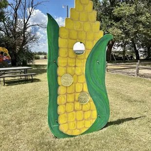 Corn photo op
