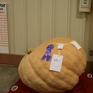 big-ass pumpkin