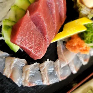 Black snapper close up