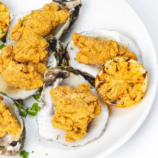 oysters and mussels, food