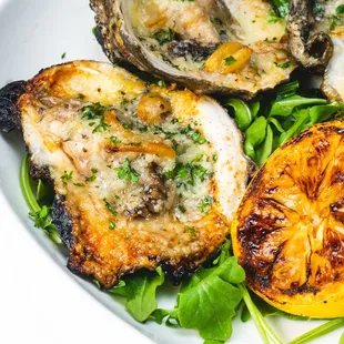 oysters and mussels, food, oysters, shellfish, mussels