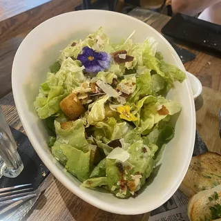 Cesar salad