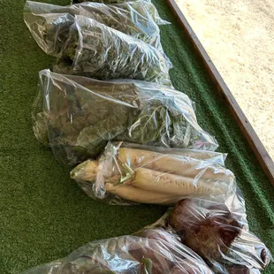 Beets, daikon, Swiss chard, cucumbers, lettuce, cabbage