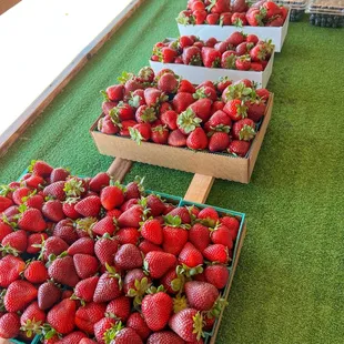 Strawberries and blueberries!