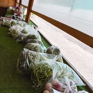 dill, cilantro, green onion, sugar peas, snow peas, broccoli, cauliflower, lettuce, daikon plant, beets, radish, and turnip