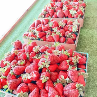 Strawberries
