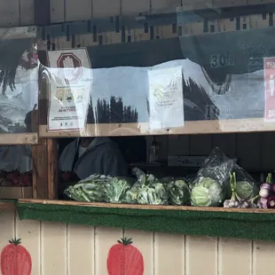 Early spring selection