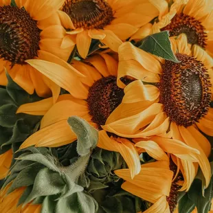 Sunflowers for sale!