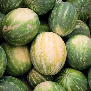 Fresh watermelon for sale