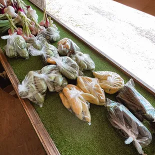 Vegetables: Mexican squash, zucchini, yellow squash, and round zucchini.