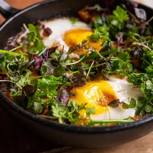 Duck Egg Shakshuka