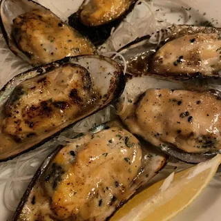 Dynamite Green Mussel